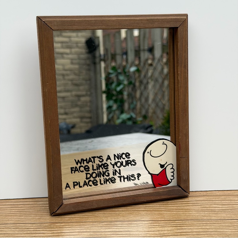 Ziggy Character Tom Wilson Vintage Wood Framed Mirror Small Wall Hang Decor